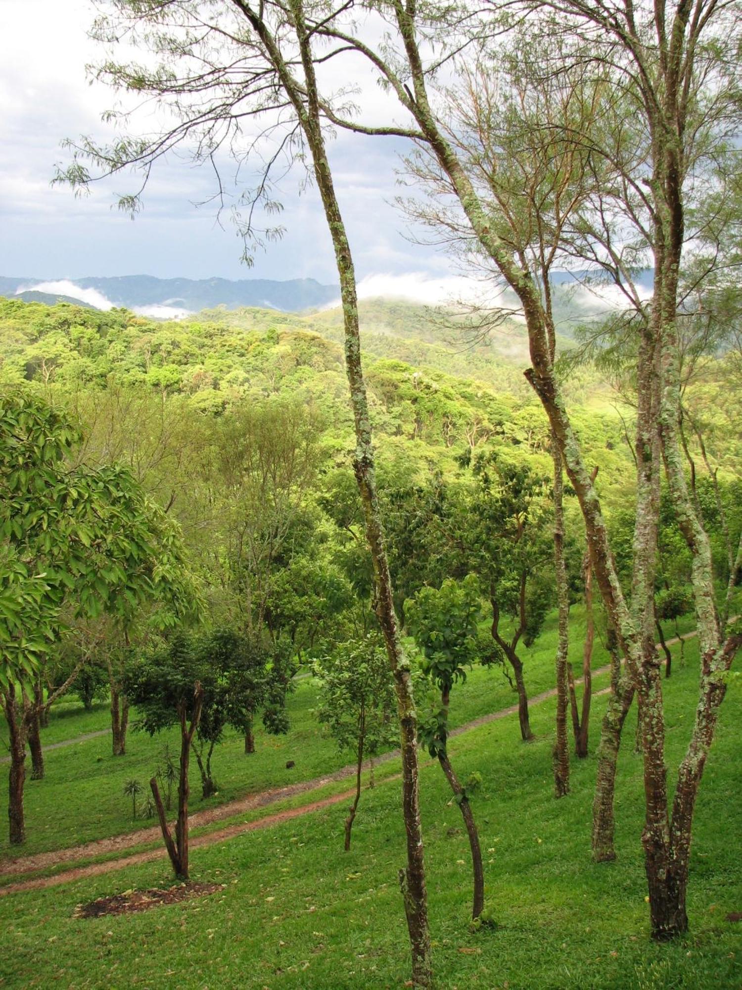 Champagny Pousada Santo Antônio do Pinhal Εξωτερικό φωτογραφία